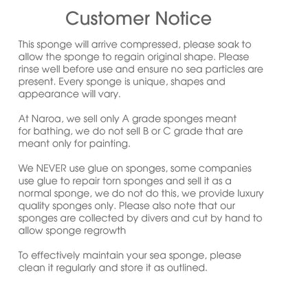 Naroa Soft Natural Sponge X Large – Unbleached Shower Body Scrubber for Bath & Spa