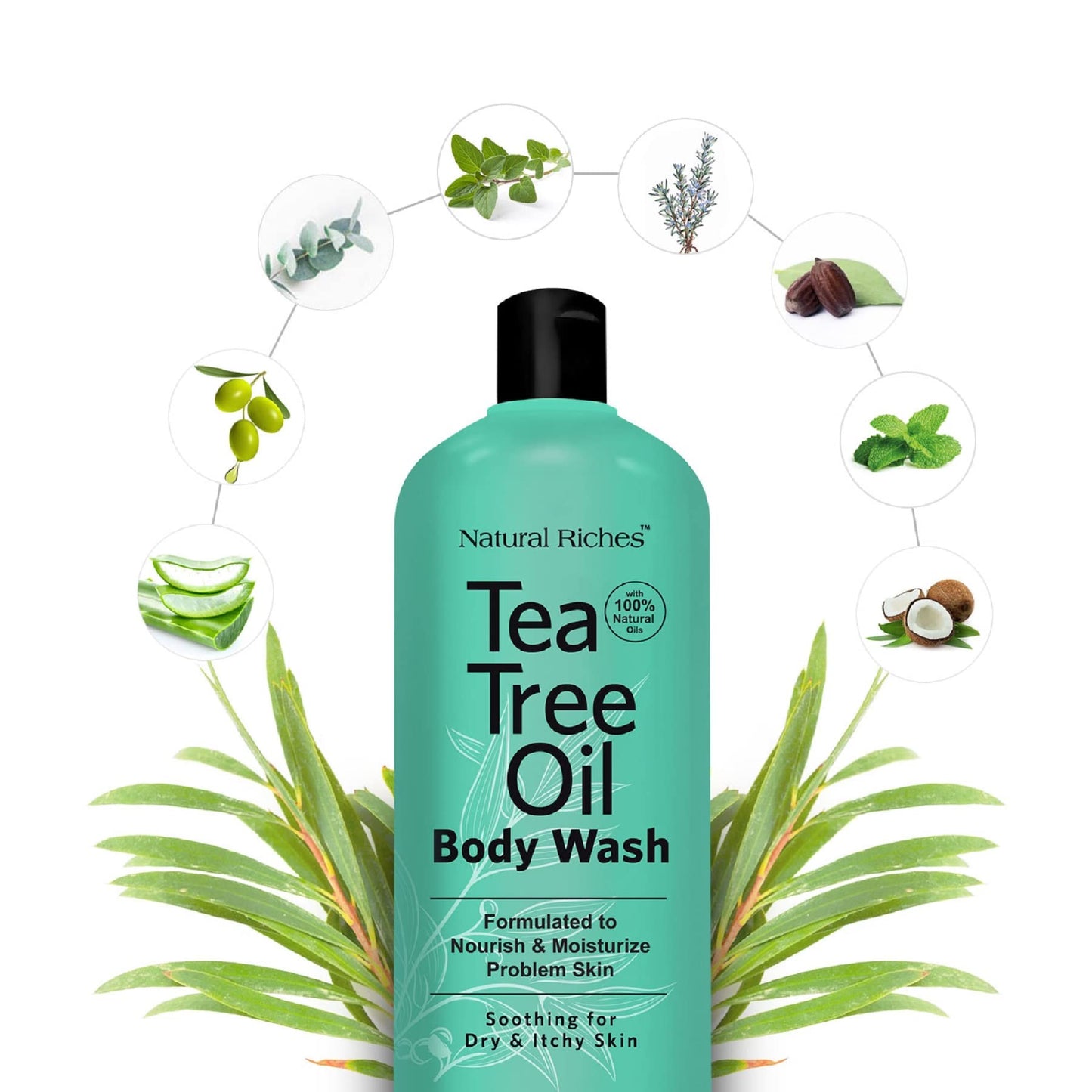Natural Riches Tea Tree Body Wash for Men & Women – 16 oz, All Skin Types