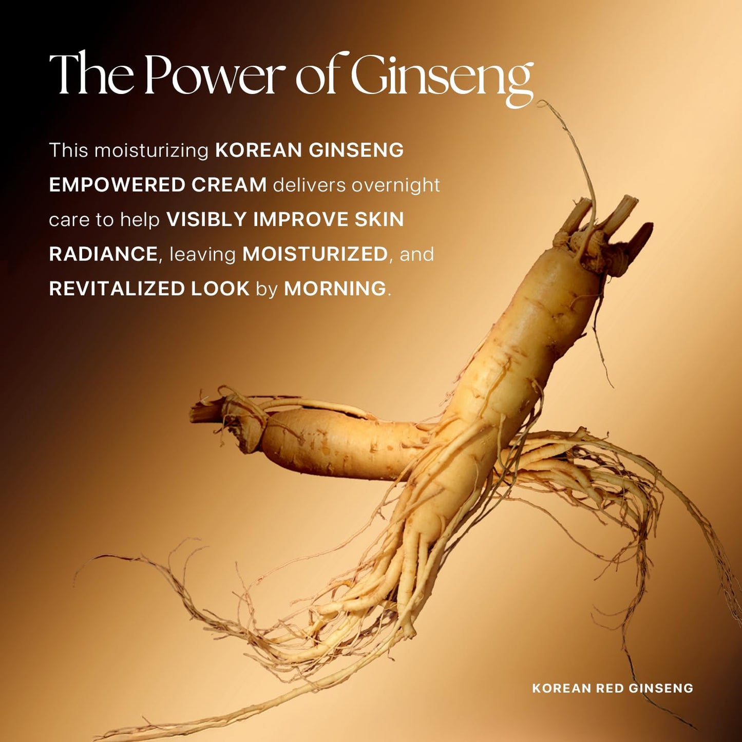 Nature Republic Ginseng Gold Silk Watery Cream – 6-Year Ginseng & 99.9% Pure Gold