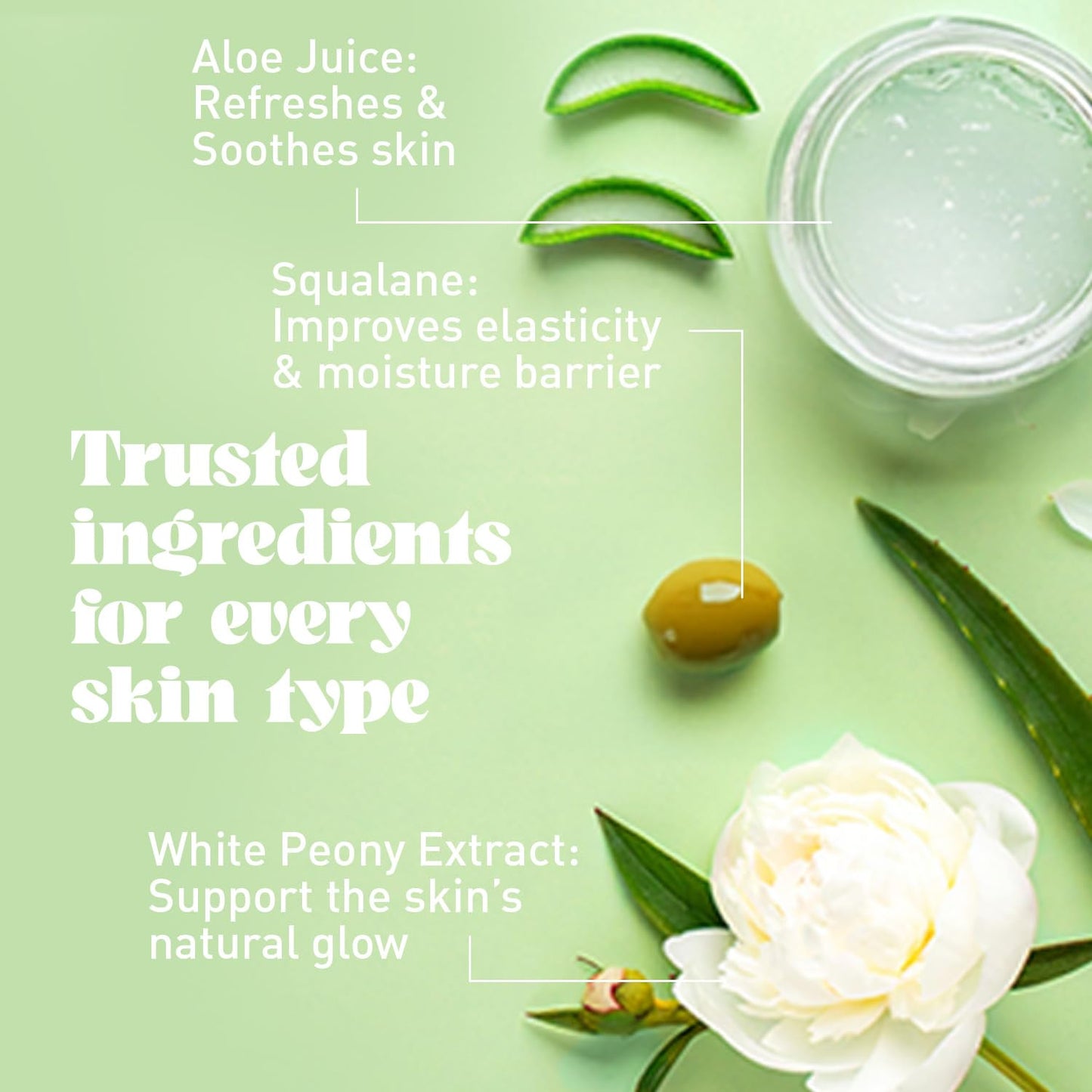 NATURE WELL Dreamy Radiating & Cleansing Body Wash | Aloe, Squalane & White Peony