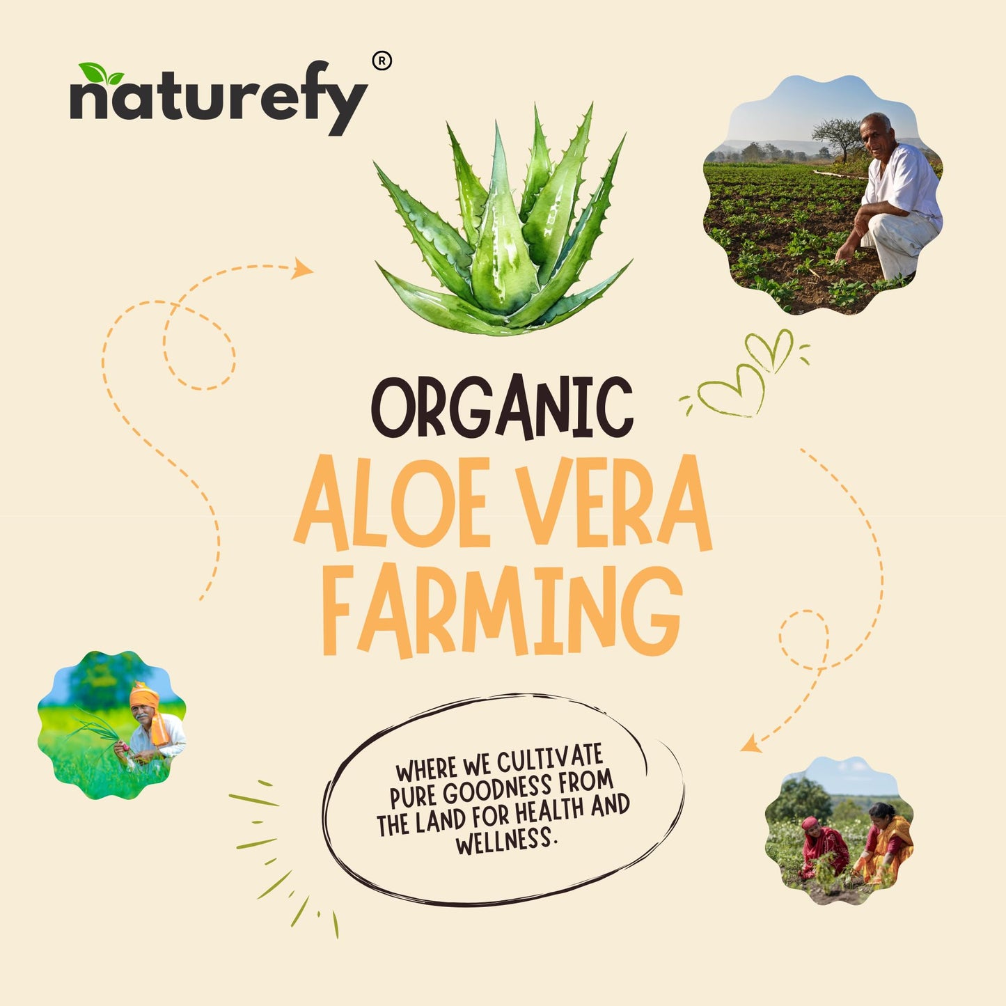 Naturefy Aloe Vera Gel | 100% Pure & Organic Aloe Vera Pulp with Jojoba Oil, Glycerine & Vitamin E