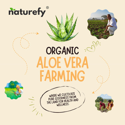 Naturefy Aloe Vera Gel | 100% Pure & Organic Aloe Vera Pulp with Jojoba Oil, Glycerine & Vitamin E