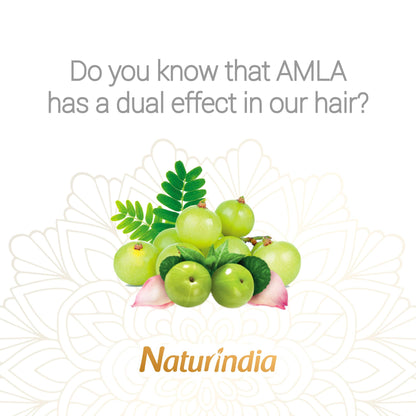 Naturindia Ayurvedic Amla Hair Growth Shampoo – Organic & Sulfate-Free