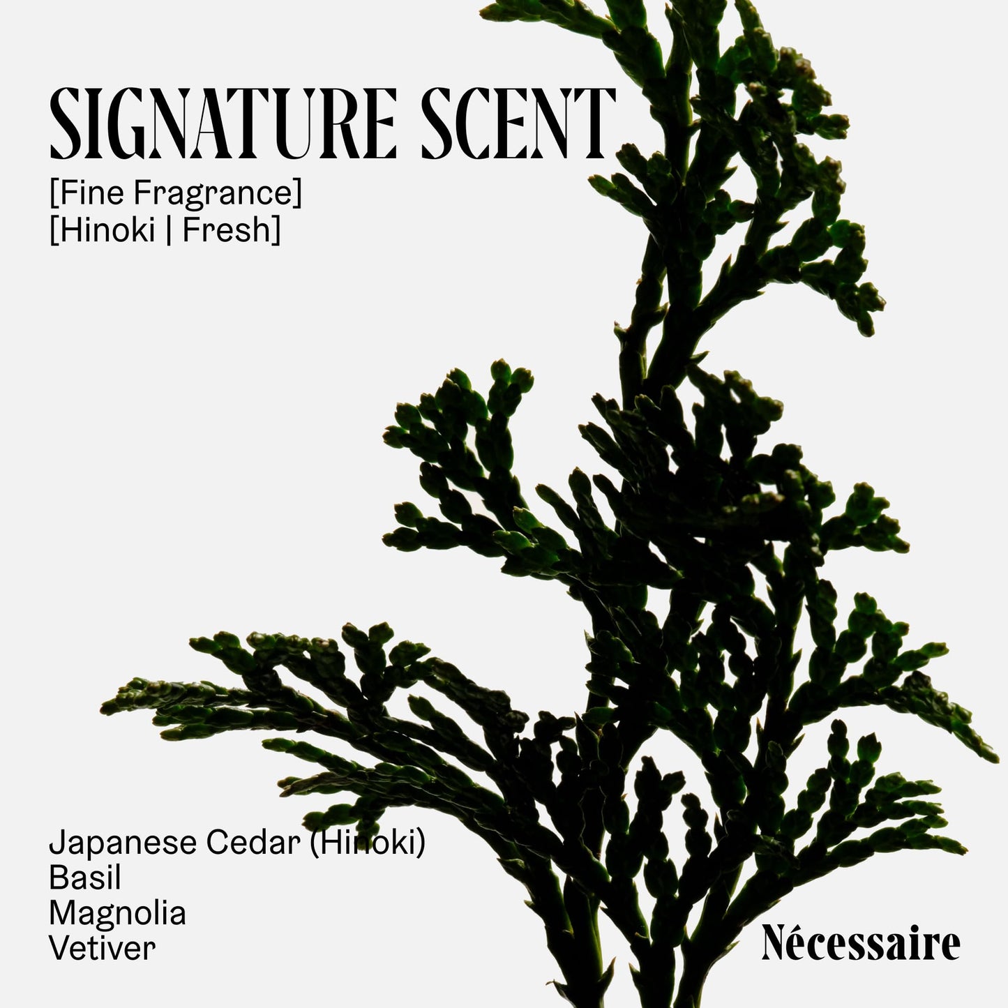 Nécessaire Hinoki Body Lotion – Multi-Peptide Moisturizer with 2.5% Niacinamide | Dermatologist-Tested, Vegan, Hypoallergenic, 15.2oz
