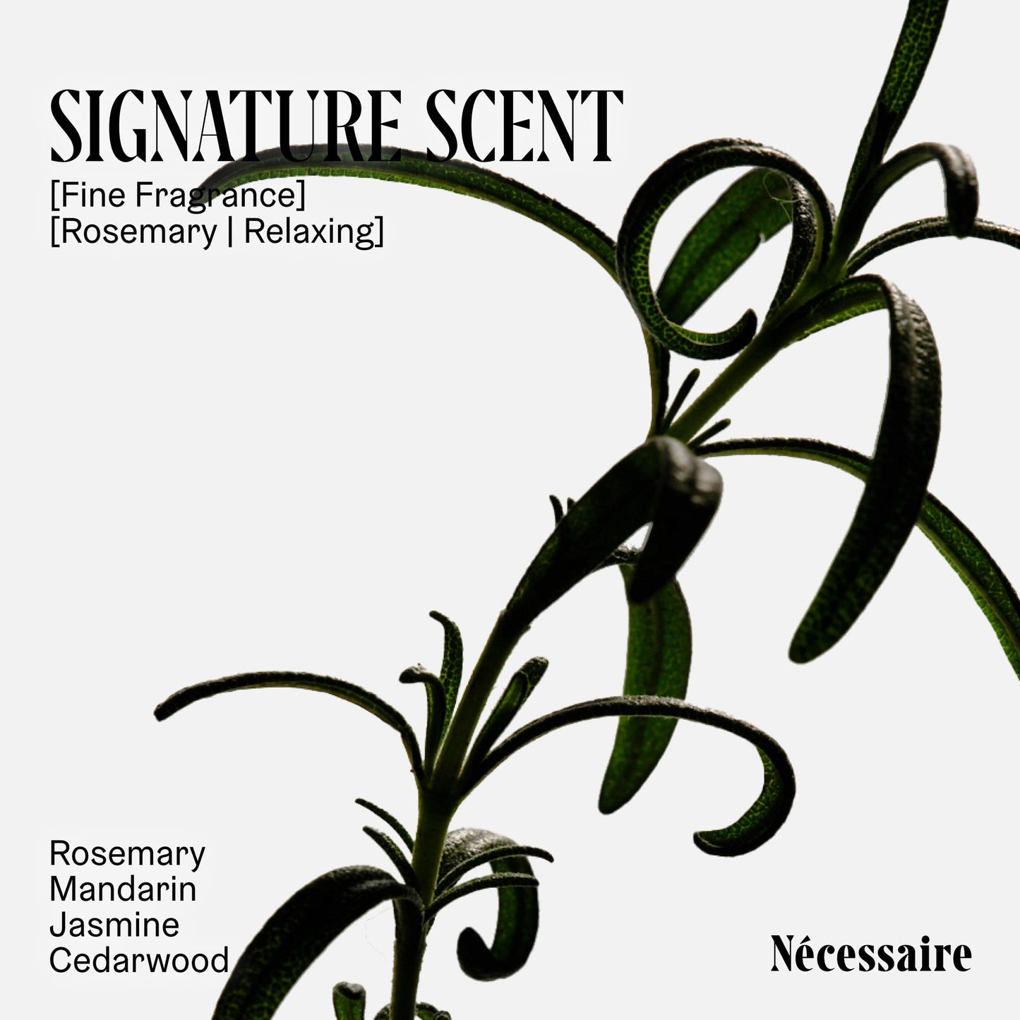 Nécessaire Rosemary Shampoo With Pump — Multi-Protein Strengthening for Thinning Hair