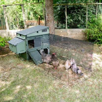 Nestera Aspen 10 Chicken coop for up to 10 Large Birds