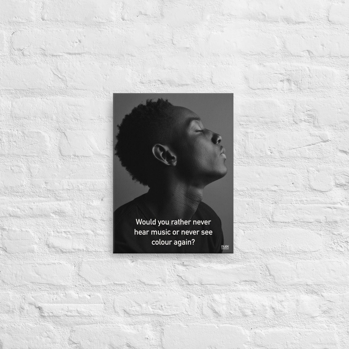 Never Hear Music or Never See Colour - Canvas Print