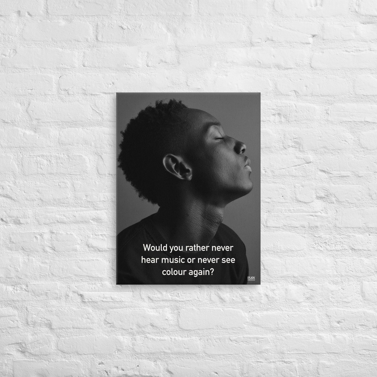 Never Hear Music or Never See Colour - Canvas Print