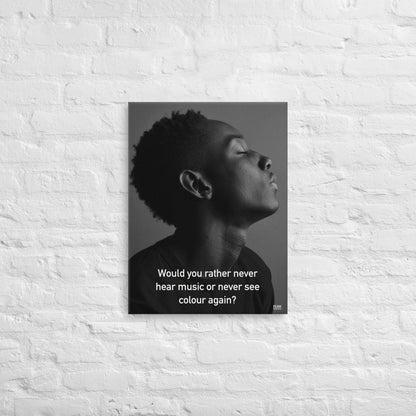 Never Hear Music or Never See Colour - Canvas Print