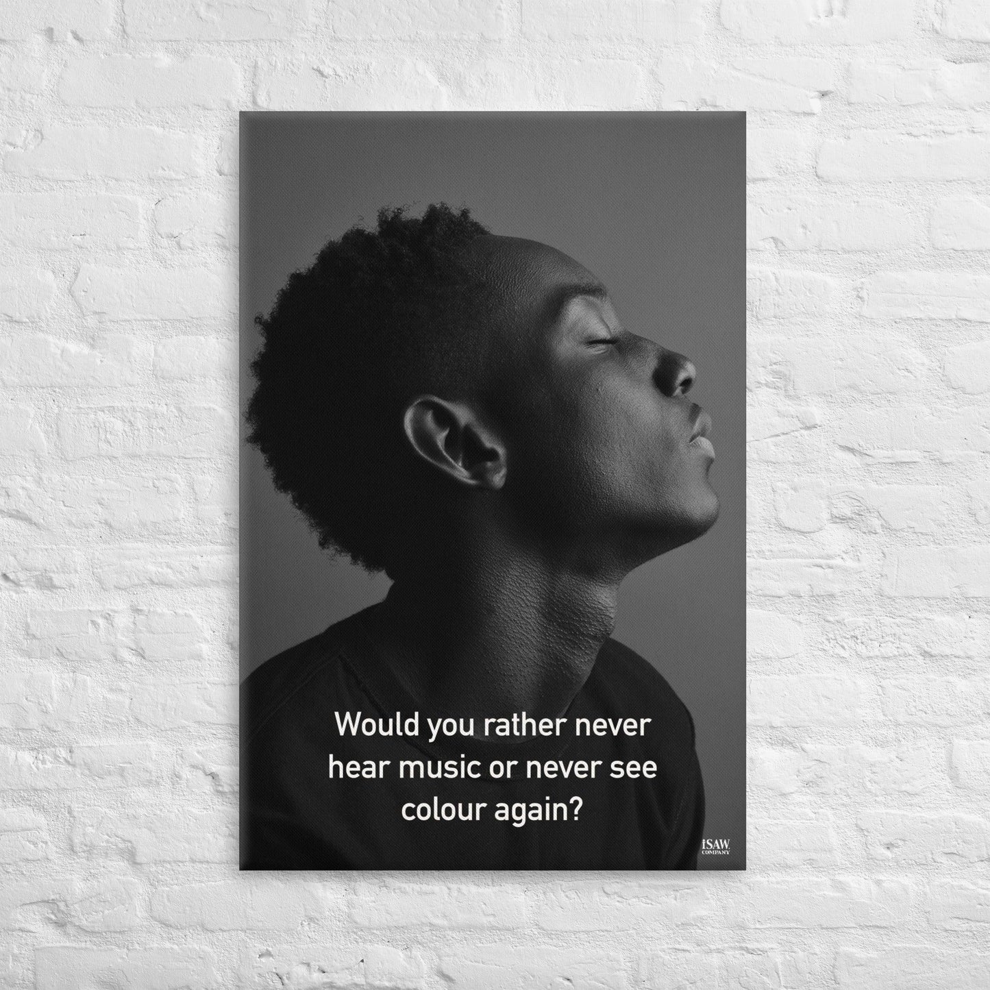 Never Hear Music or Never See Colour - Canvas Print