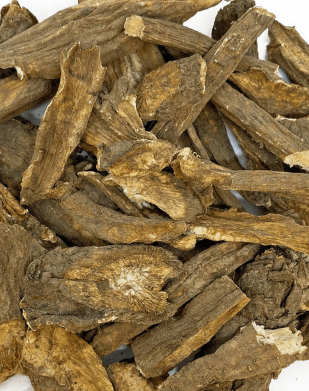 NEW Dandelion Root Grazing Bag - 100% Natural 500G