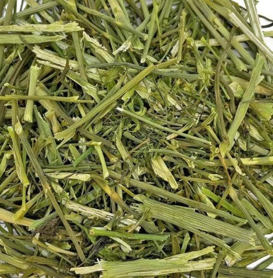NEW Dill Stalks Grazing Bag - 100% Natural 500g