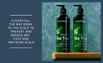 New York Biology Tea Tree Conditioner – Deep Cleanser for Dandruff & Dry Scalp – Hair Growth Support – 16.9 fl oz