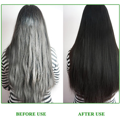 NIFEISHI 3-in-1 Black Hair Dye Shampoo – Natural Herbal Gray Coverage (500ml)