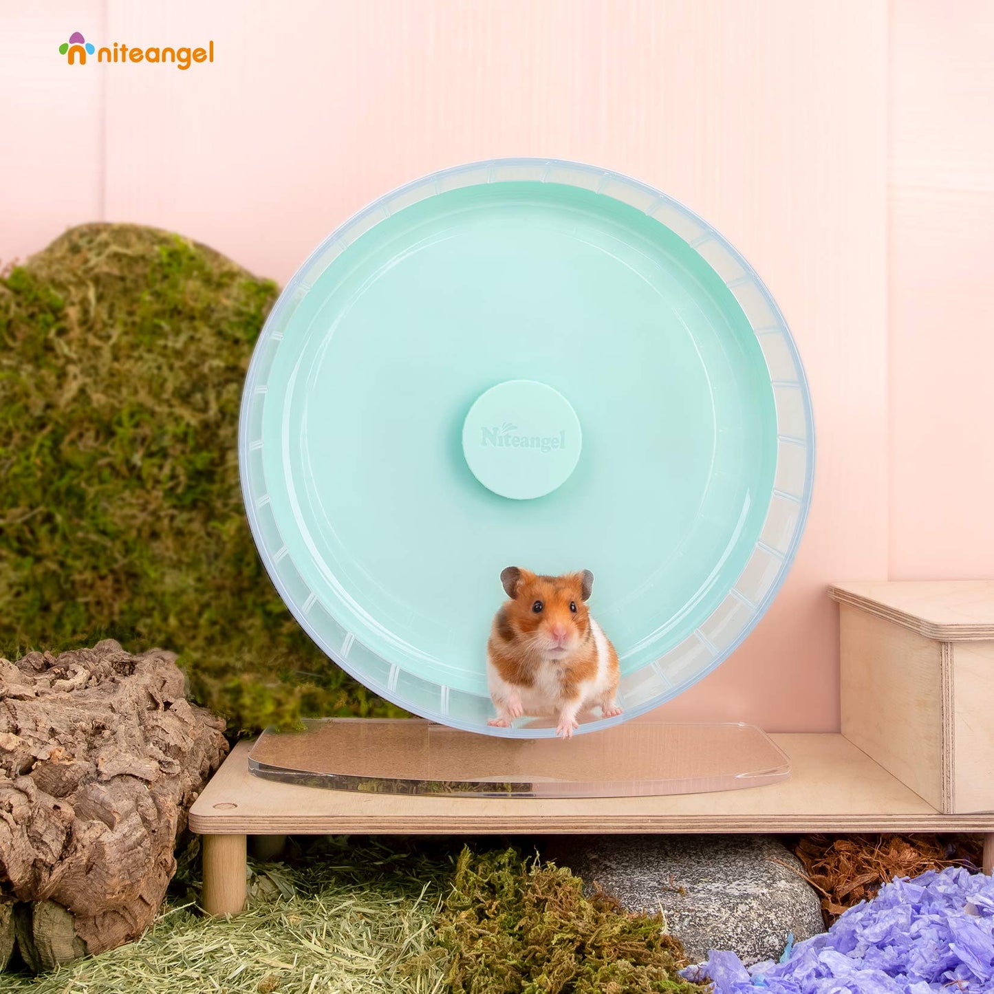 Niteangel Super-Silent 11-Inch Hamster Wheel – Quiet, Adjustable Stand, Mint Green