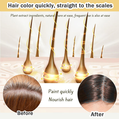 Nova Hair Dye Shampoo 3-in-1 for Men & Women – Gray Coverage, Natural Formula, 200ml
