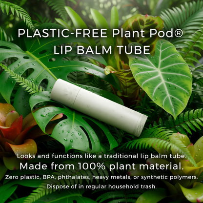 Novana Naturals Organic Nourishing Lip Balm – 4-Pack, Peppermint & Mango Butter