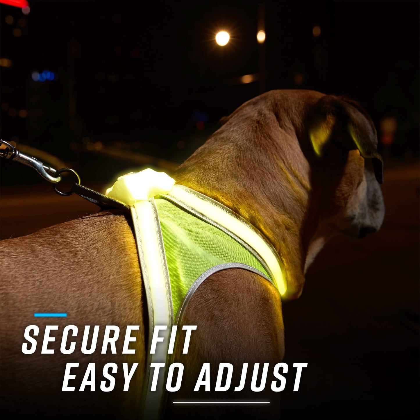Noxgear LightHound: Illuminated Dog Harness with LED Fiber Optics – USB Rechargeable, Adjustable, Rainproof (X-Large)