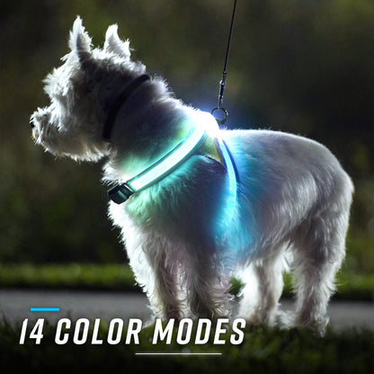 Noxgear LightHound: Illuminated Dog Harness with LED Fiber Optics – USB Rechargeable, Adjustable, Rainproof (X-Large)