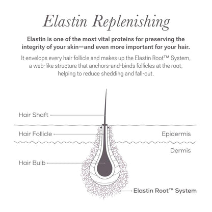 NULASTIN Eyelash Serum & Brow Serum Duo – Fuller Lashes & Brows