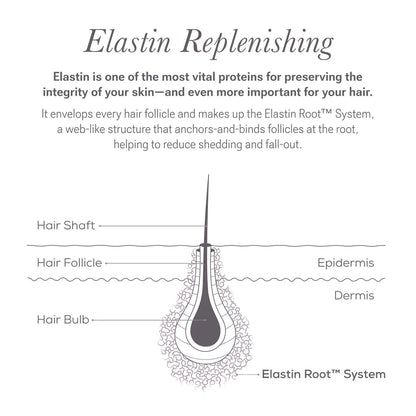 NULASTIN Follicle Fortifying Lash Serum – Clinically Tested Eyelash Enhancing Serum for Longer-Looking Lashes (0.1 Fl Oz)