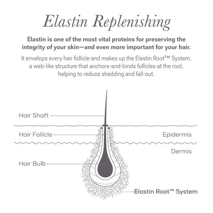 NULASTIN Scalp Serum — Lightweight, Fast-Absorbing Treatment for Hair Density (1.7 oz)