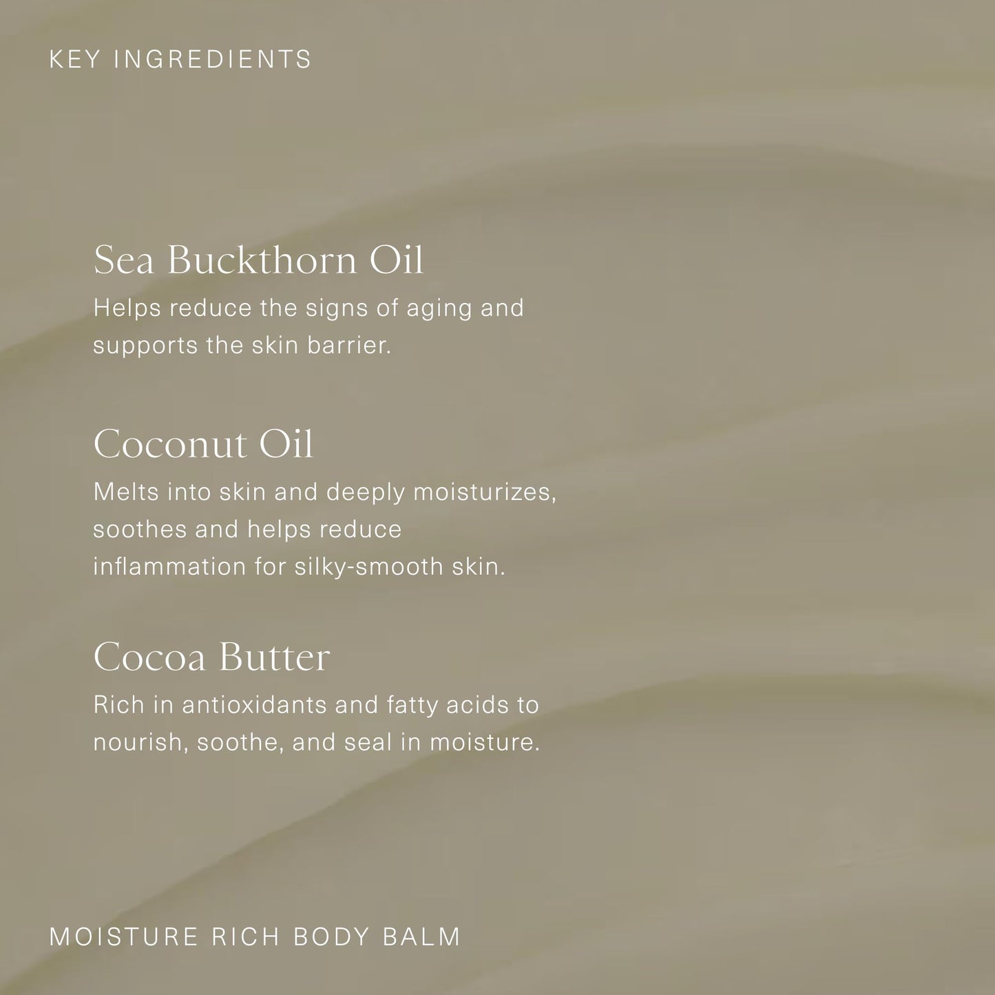 Oak Essentials Moisture Rich Body Balm | Ultra-Hydrating Cream with Sea Buckthorn Oil, Cocoa Butter & Coconut Oil (5.3 oz)