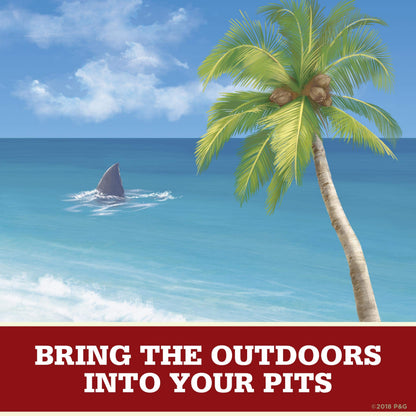 Old Spice Fiji Palm Tree Aluminum-Free Deodorant for Men – 3oz Pack of 3