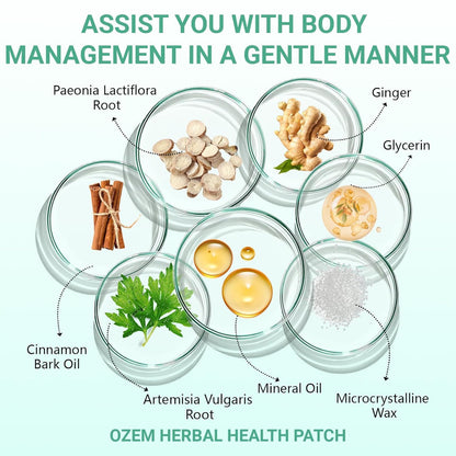 OLEVRALIS Upgraded Ozem Patch for All-Over Body — Comfortable Day and Night Wear, 60 Patches