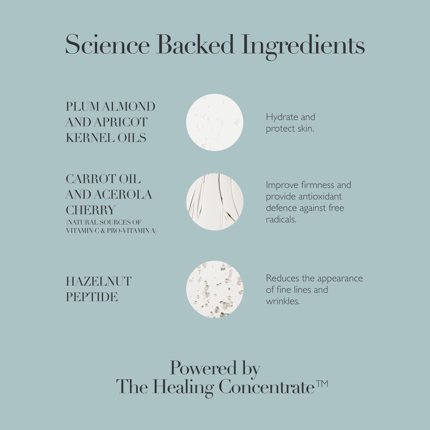 Omorovicza Rejuvenating Night Cream – Restorative Overnight Moisturizer with Hazelnut Peptide & Plum Almond Oil