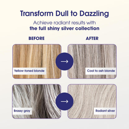 One 'N Only Shiny Silver Ultra Shine Spray – Blonde Shine, Brass Neutralizer, UV & Heat Protection (4 oz) Pack of 2