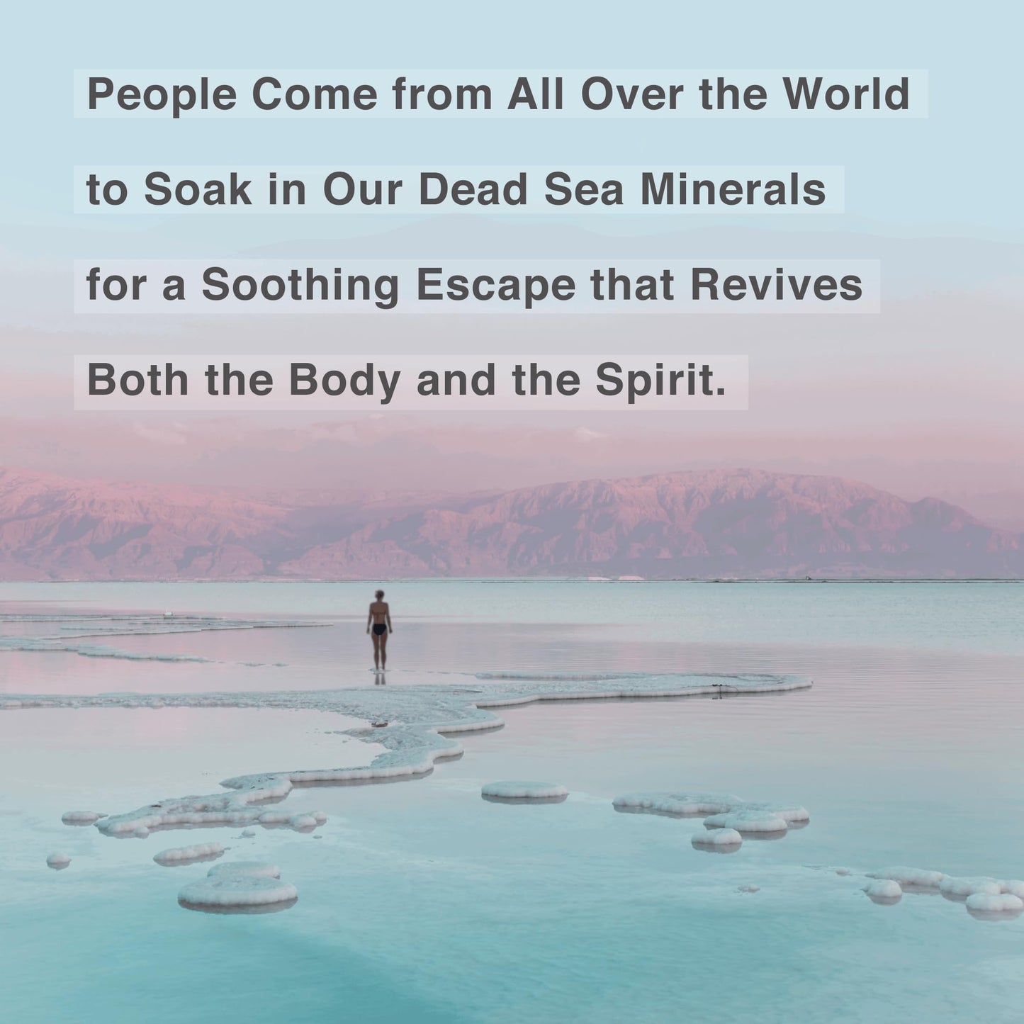 One With Nature Dead Sea Salt Lavender Bath 2.5oz 6-Pack | Mineral-Rich Skin Nourishment