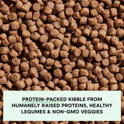 Open Farm Grain-Free Salmon & Sweet Potato Puppy Food – 22lb Bag