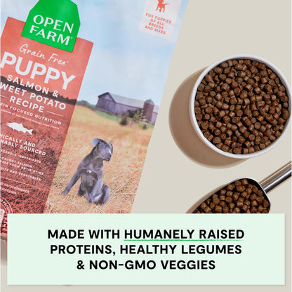 Open Farm Grain-Free Salmon & Sweet Potato Puppy Food – 22lb Bag