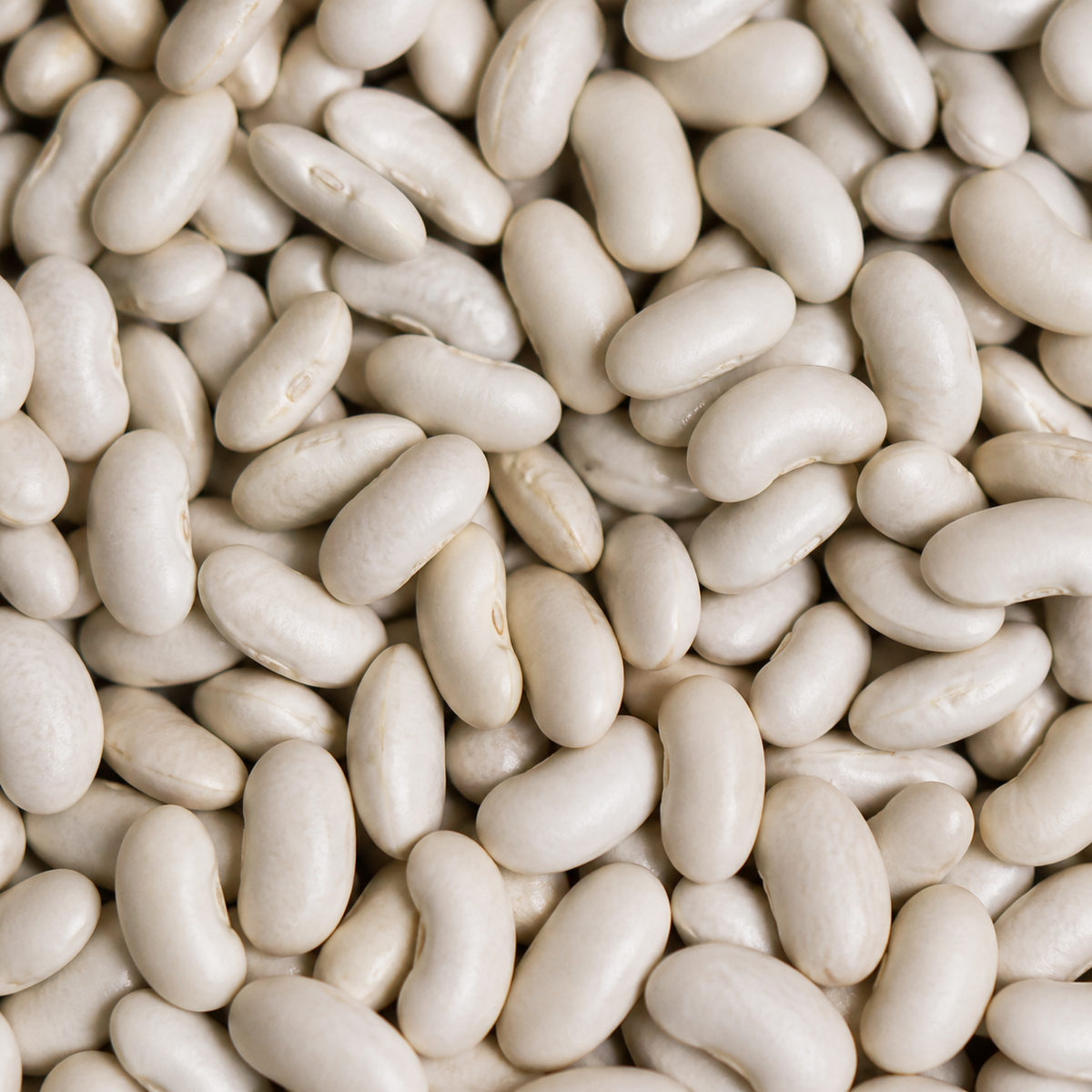 Infinity Foods Bulk Organic Cannellini Beans