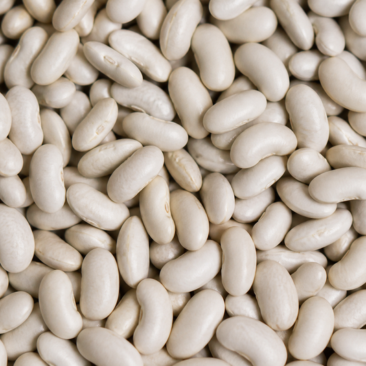 Infinity Foods Bulk Organic Cannellini Beans
