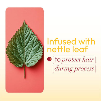 ORS Hairrestore Fertilizing Serum with Nettle Leaf & Horsetail Extract – 3 x 2 oz