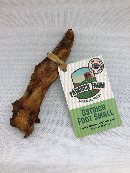 Ostrich Foot Small