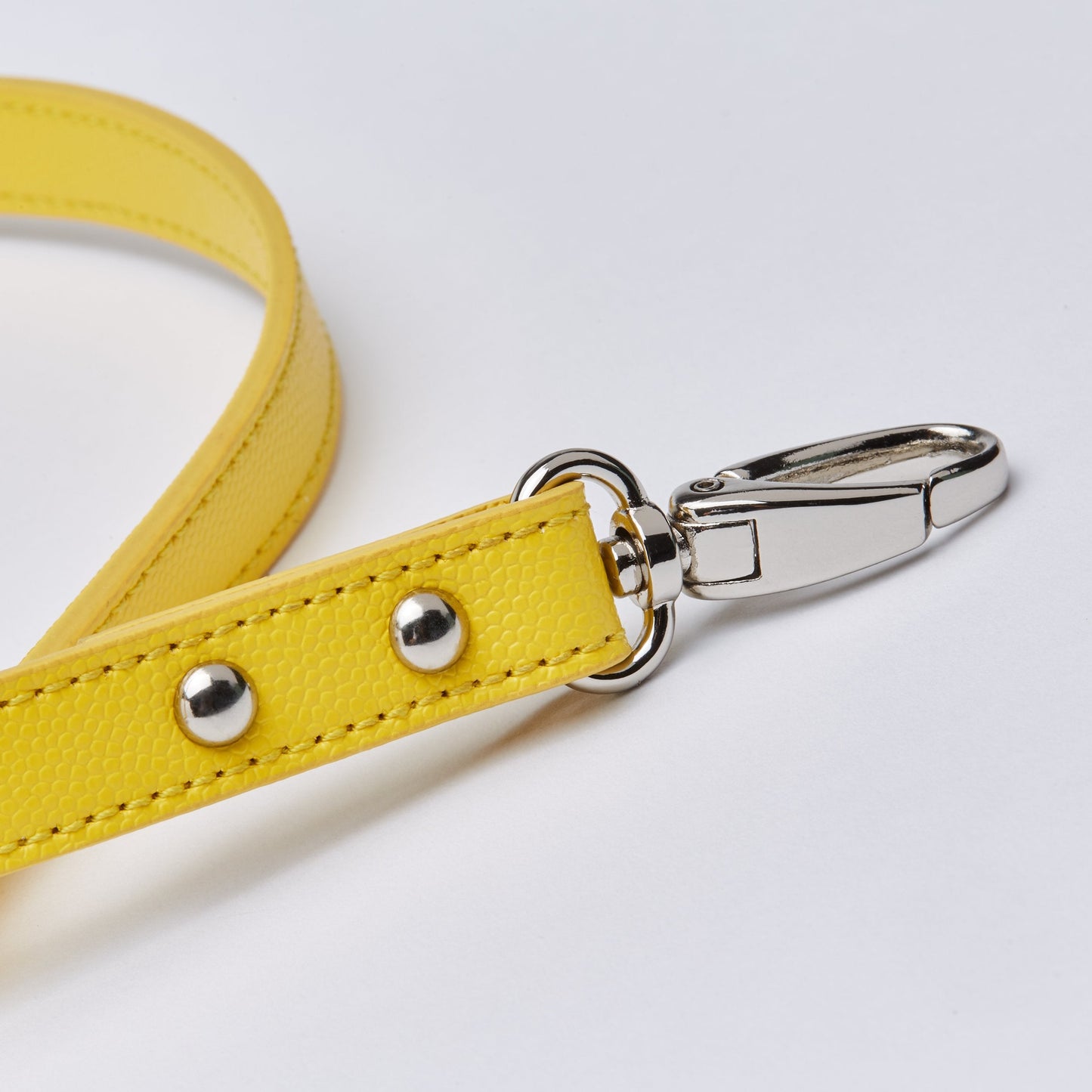 Leather Lead