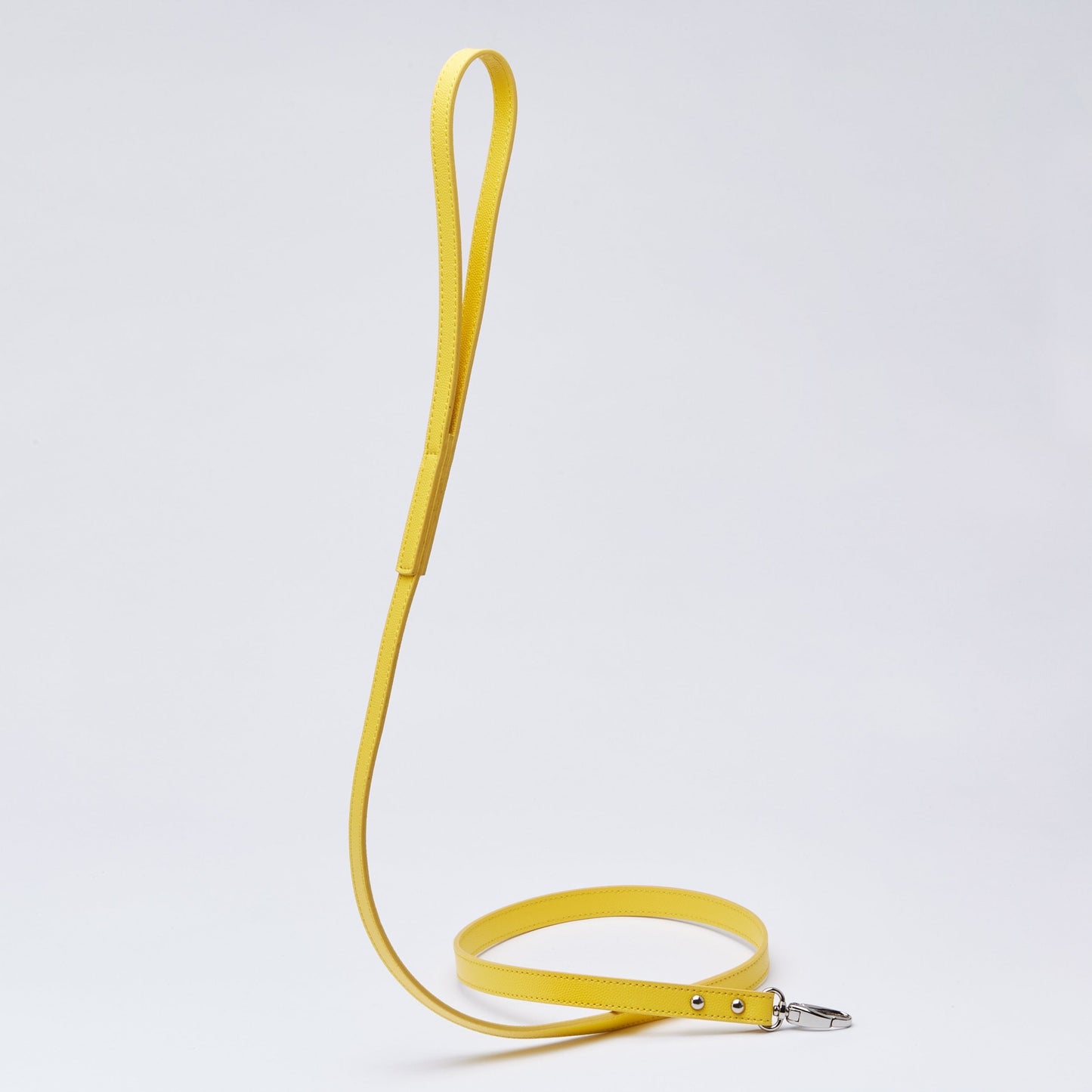 Leather Lead