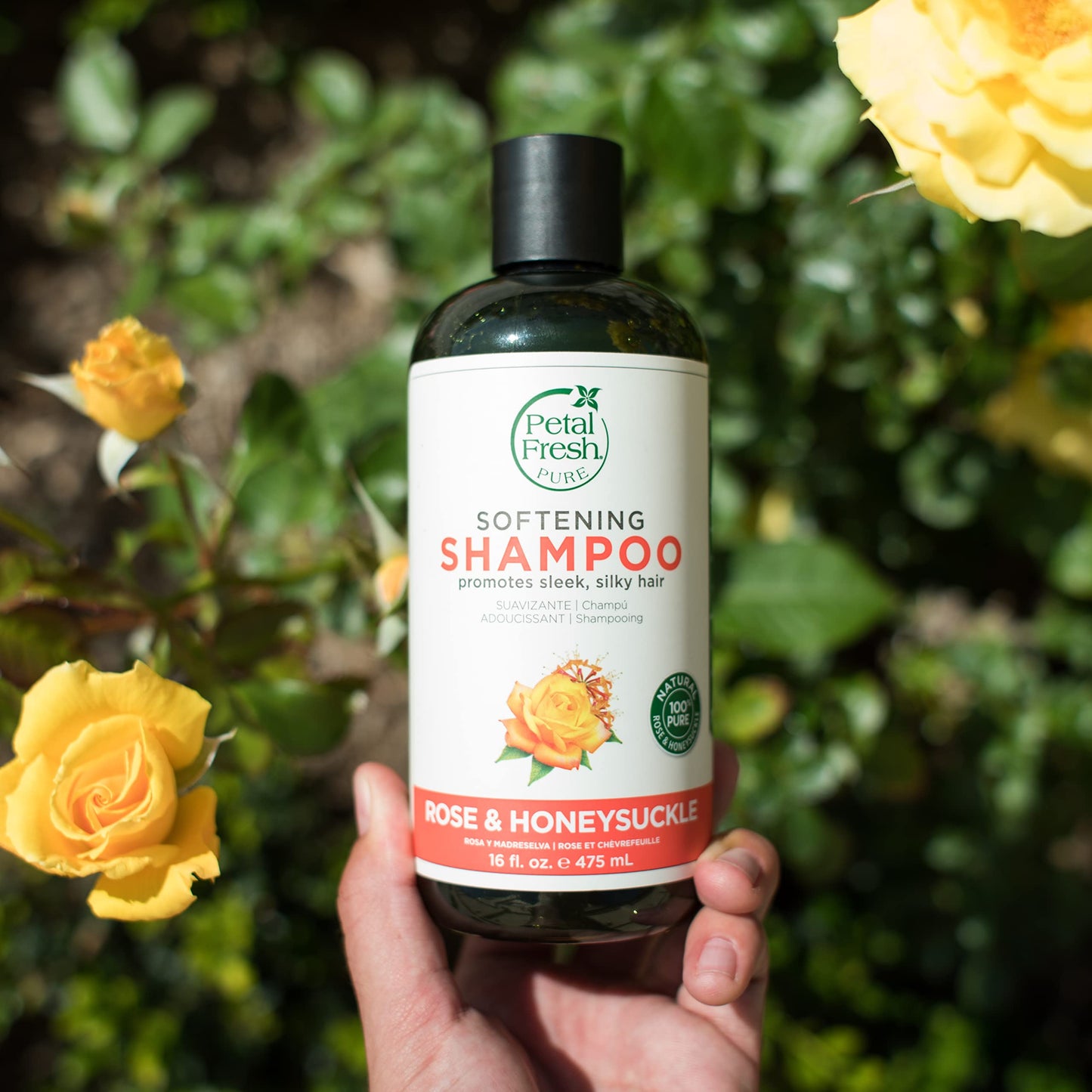 Petal Fresh Pure Softening Rose & Honeysuckle Shampoo – 355ml