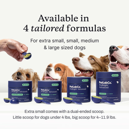 PetLab Co. ProBright Advanced Dental Powder for Large Dogs – Fresh Breath & Tartar Control