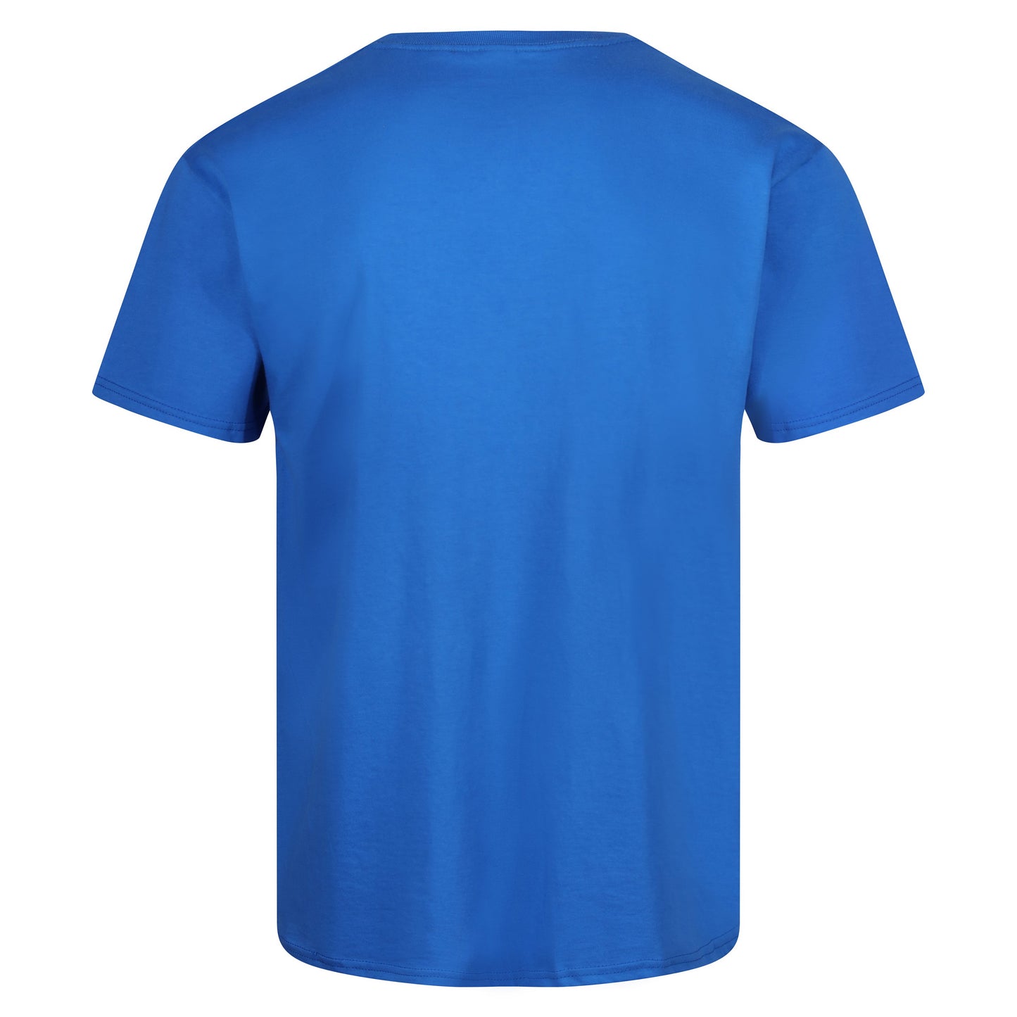 Fruit of the Loom Iconic 165 Classic T-Shirt