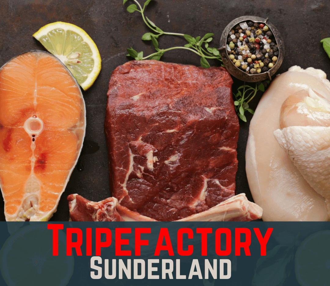 5 Chicken Feet - Tripefactory Sunderland - Natural Dried Dog Treats