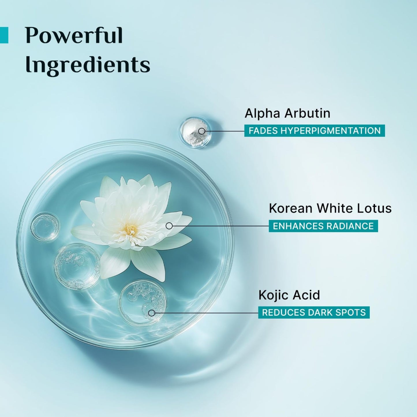 Pilgrim Face Serum with 1% Alpha Arbutin — Lightweight, Even-Tone Skin