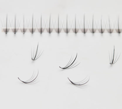 Pinneacle Wispy Promade Fans Box – Black & Brown Premade Lash Fans, C/D Curl, 8–13mm