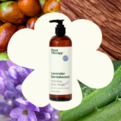 Plant Therapy Lavender Sandalwood Body Wash | Gentle, Sulfate-Free Hydration for All Skin Types (16 oz)