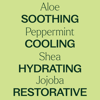 Plant Therapy Peppermint Body Lotion with Aloe & Shea — Hydration for Soft Skin, 8 oz