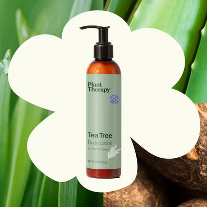 Plant Therapy Tea Tree Body Lotion with Aloe & Shea – Hydrate and Nourish Skin (8 oz)
