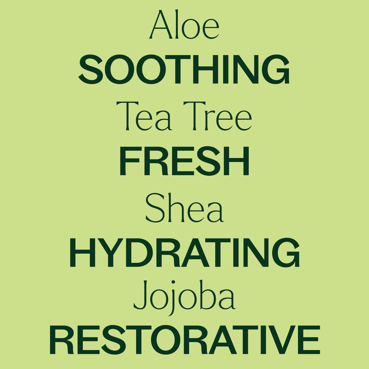 Plant Therapy Tea Tree Body Lotion with Aloe & Shea – Hydrate and Nourish Skin (8 oz)